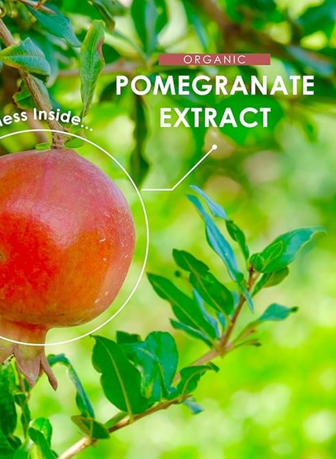 مستخلص لحاء الصنوبر العضوي 7500 مجم – يدعم الدفاعات المضادة للأكسدة والدورة الدموية وصحة البشرة، صنع في المملكة المتحدة، 90 كبسولة - Image 3